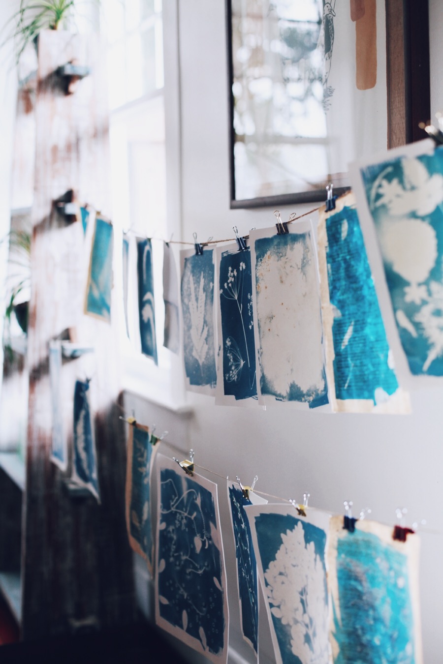 Intro to Cyanotype Printing & Toning with Botanicals (February) - Kala Art  Institute